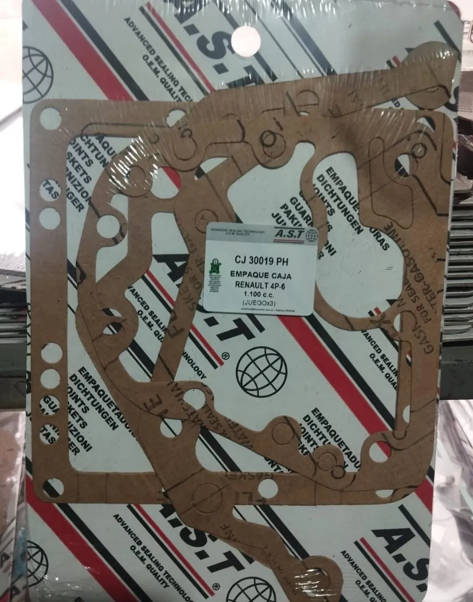 Empaquetadura caja R4-6