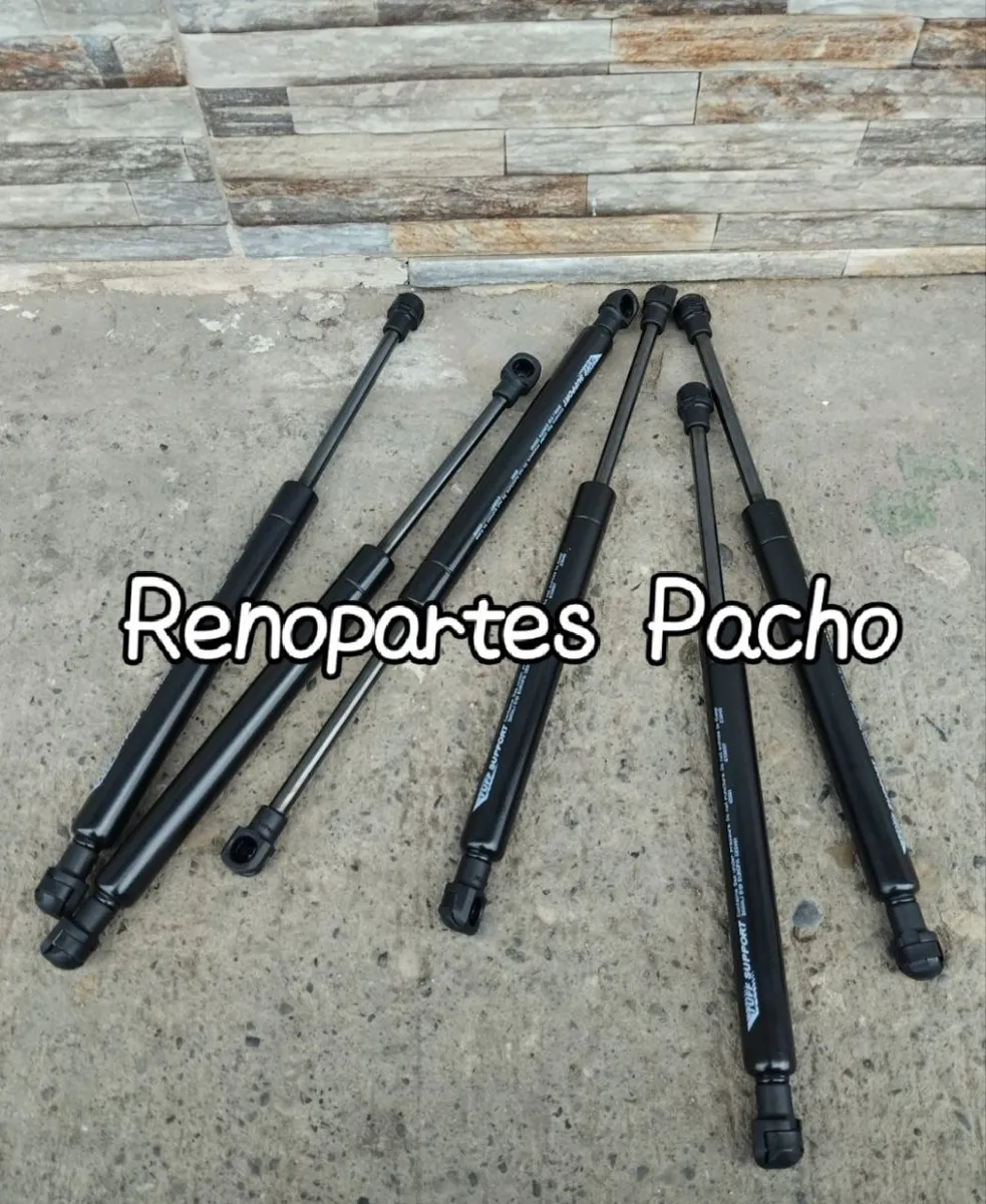 Amortiguador baúl R19